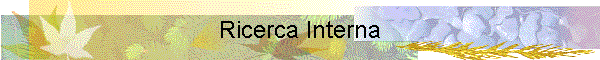 Ricerca Interna